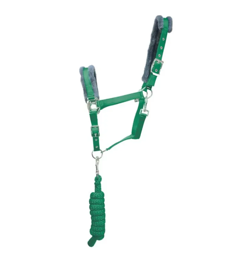 Hy Sport Active Head Collar and Lead Rope - Emerald Green